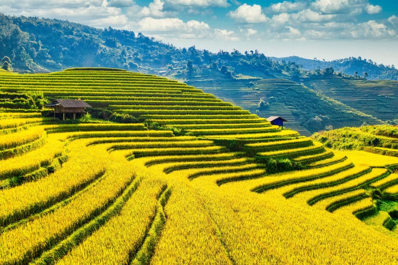 Explore North and South of Vietnam in 7 Days