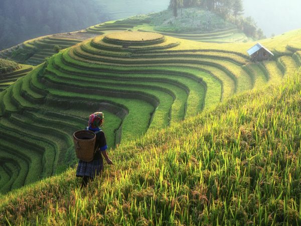 4 Days Into the Clouds of Sapa Town