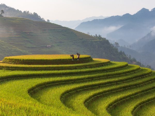 6 Days Northern Vietnam Discovery