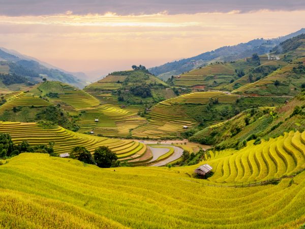 7-Day Northern Vietnam: Mountains, Rivers & the Bay