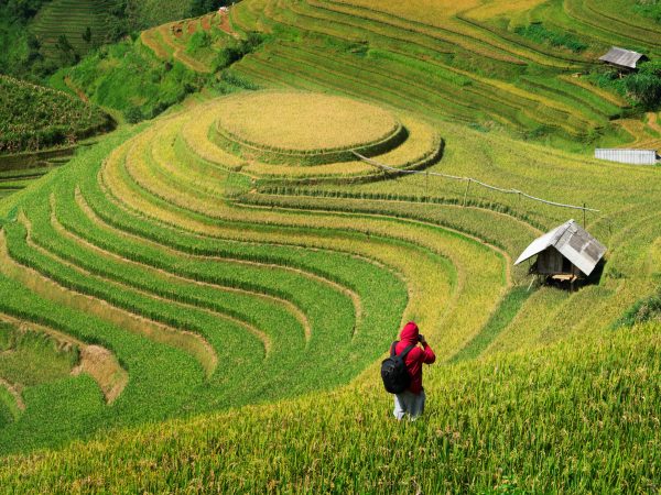 7-Day Northern Highlights: Sapa Trek & Halong Cruise